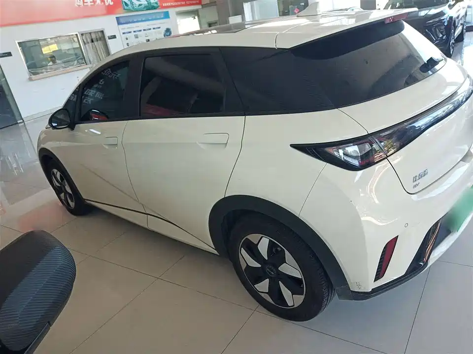 BYD dolphin BYD dolphin