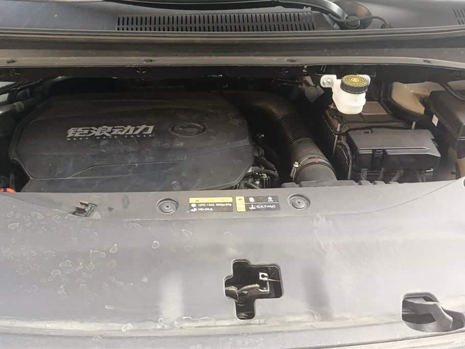 Trumpchi Trumpchi M8