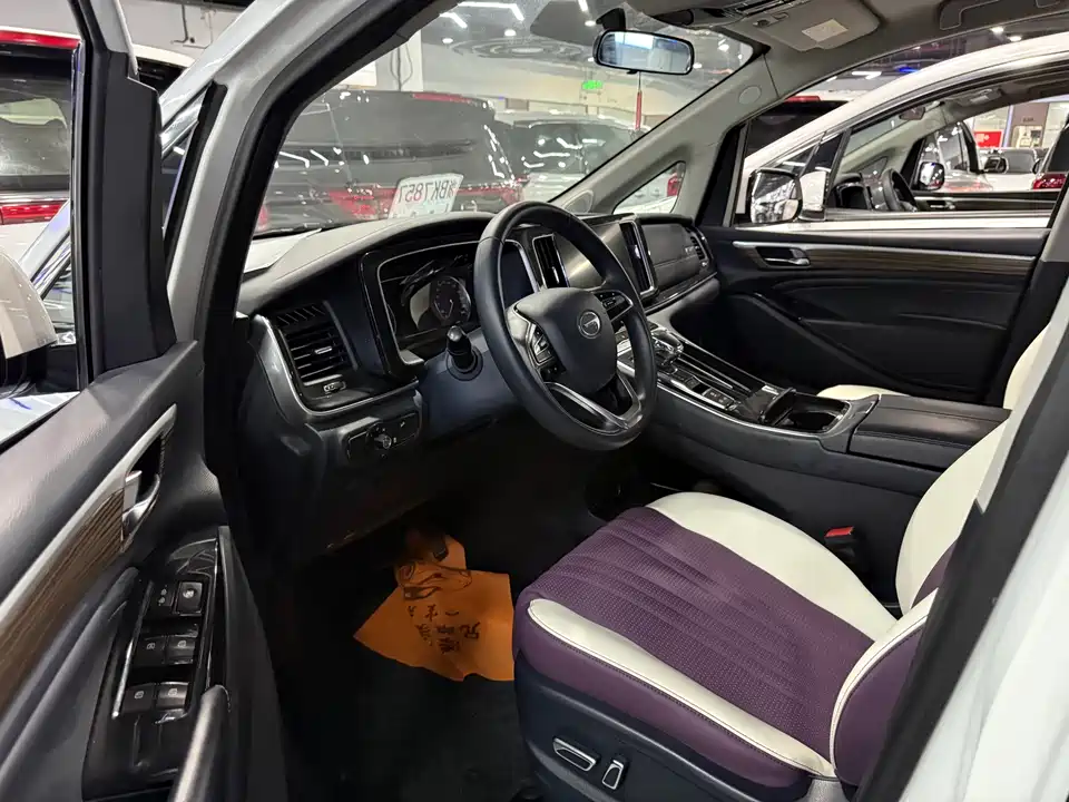 Trumpchi Trumpchi M8