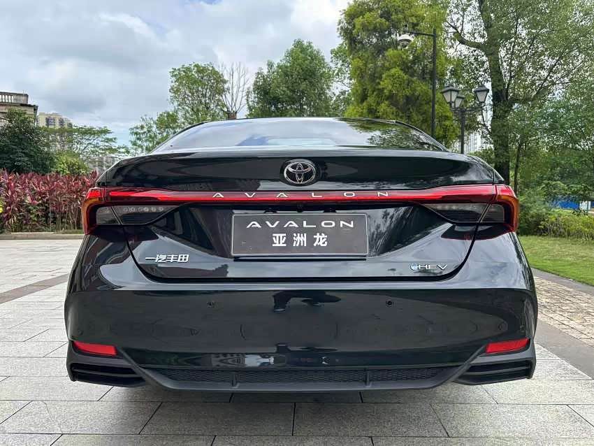 Toyota Asian dragon