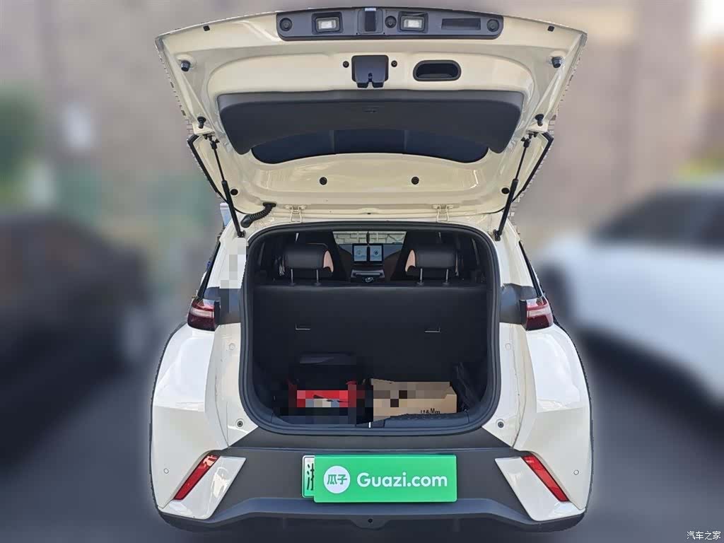 BYD Seagull, 2023 10