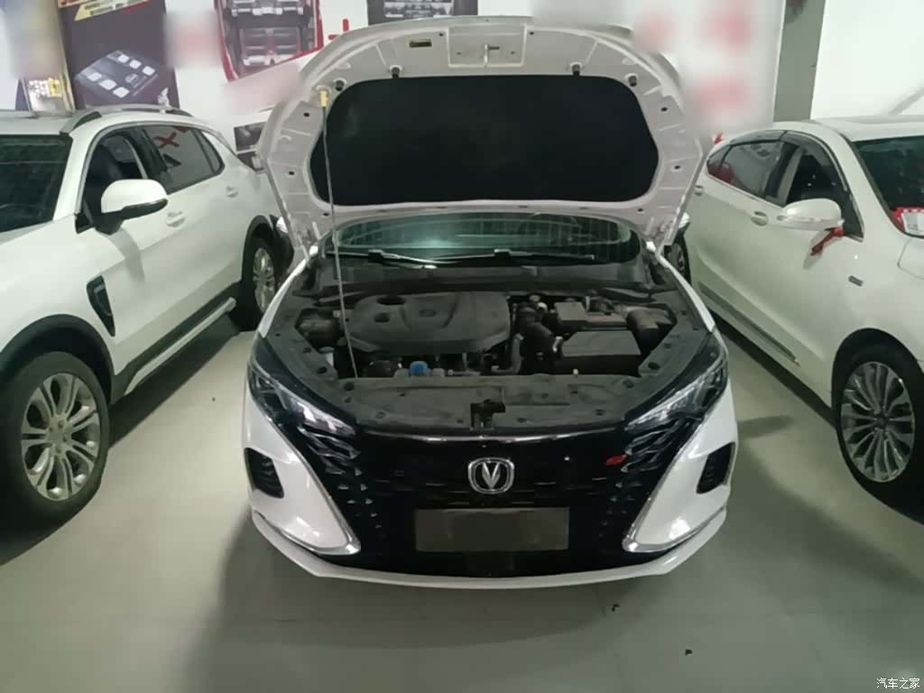 Changan Eado, 2022 20