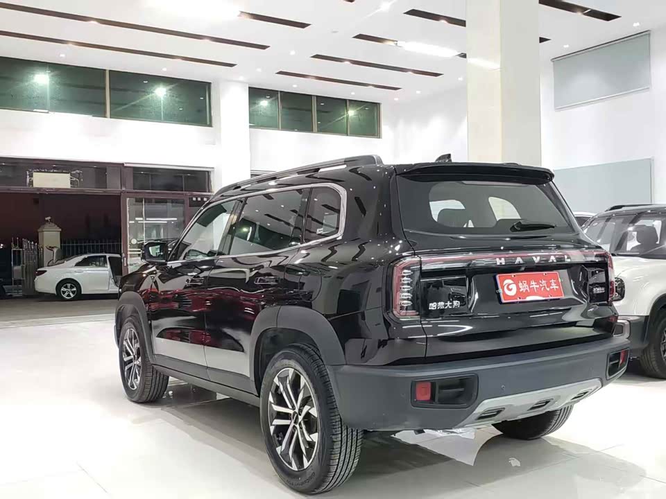 Haval Big dog