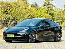 Model 3 2021�� �Ŀ� ��׼�������������� 3D1