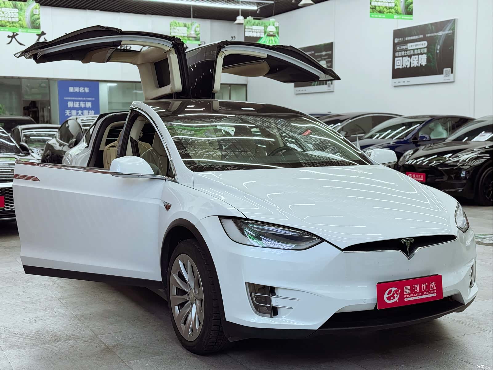 Tesla Model X, 2017 10