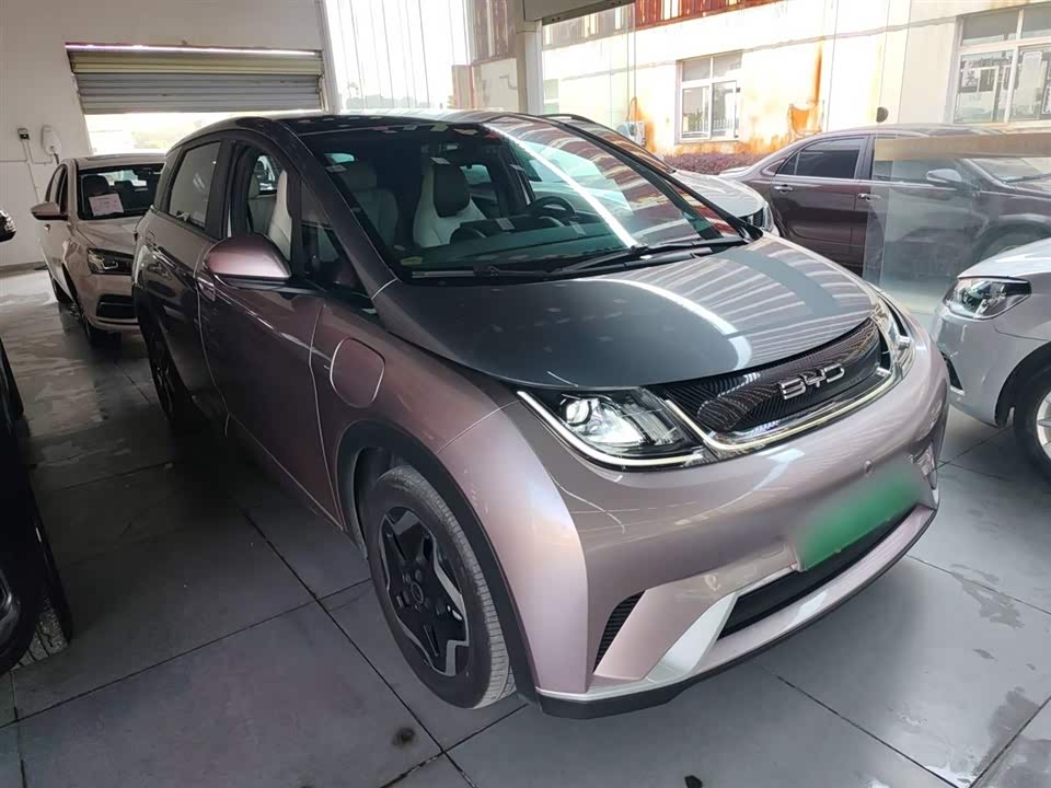 BYD dolphin