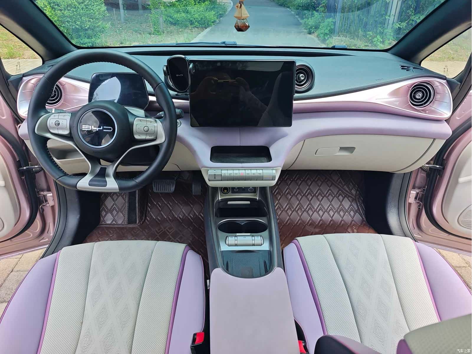 BYD Dolphin, 2024 7