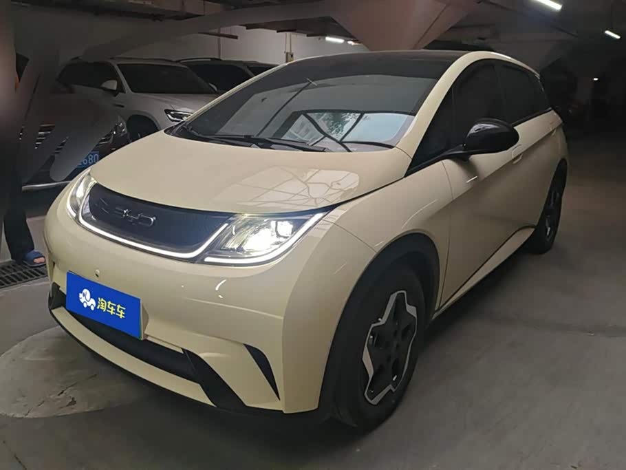 BYD Dolphin