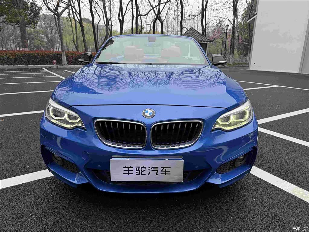 BMW 2 Series, 2015 1