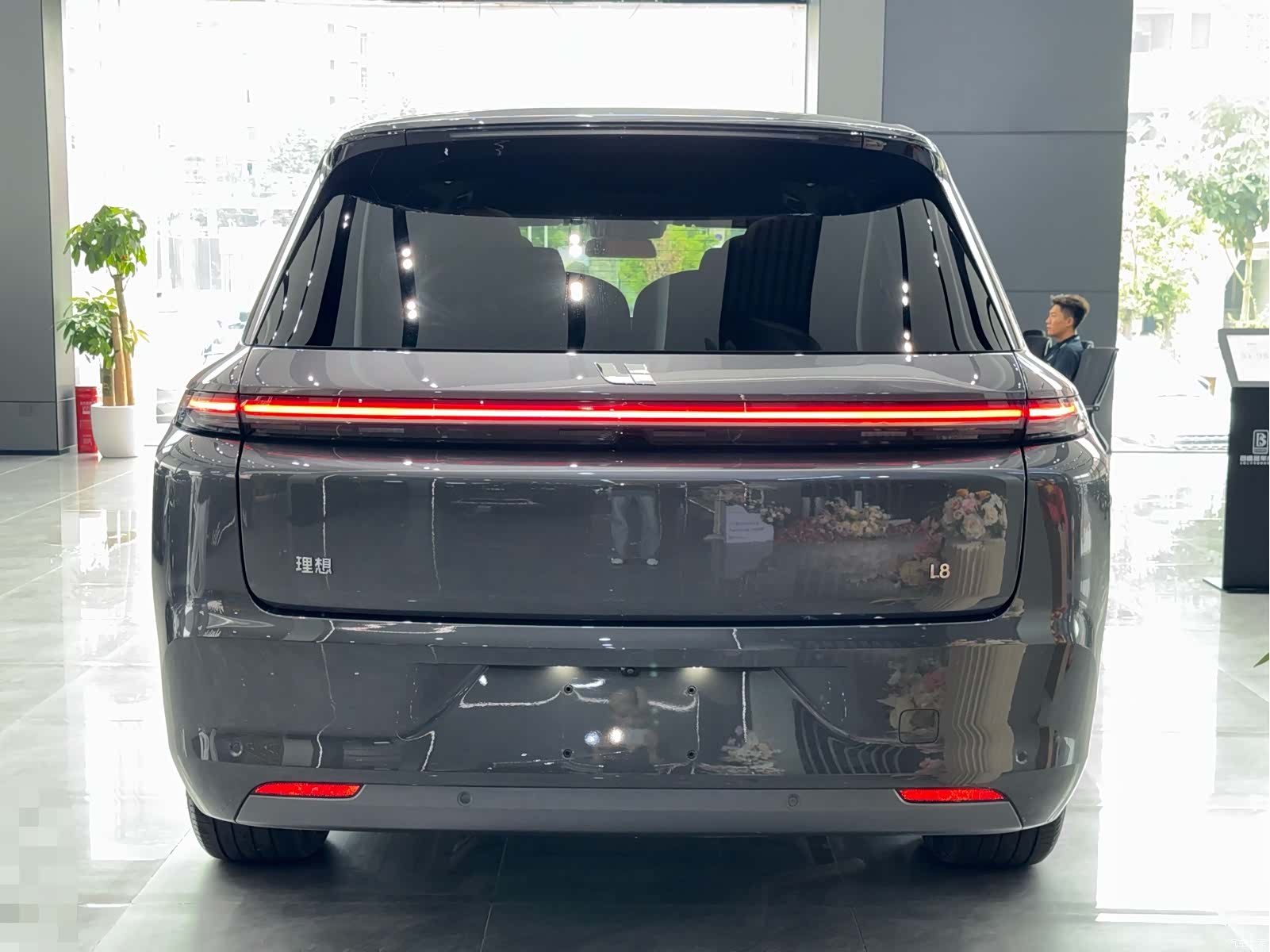 Li Auto L8, 2023 9