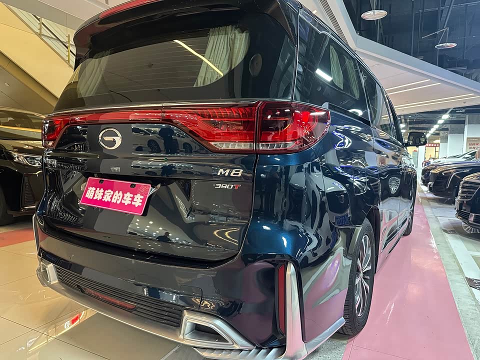 Trumpchi Trumpchi M8