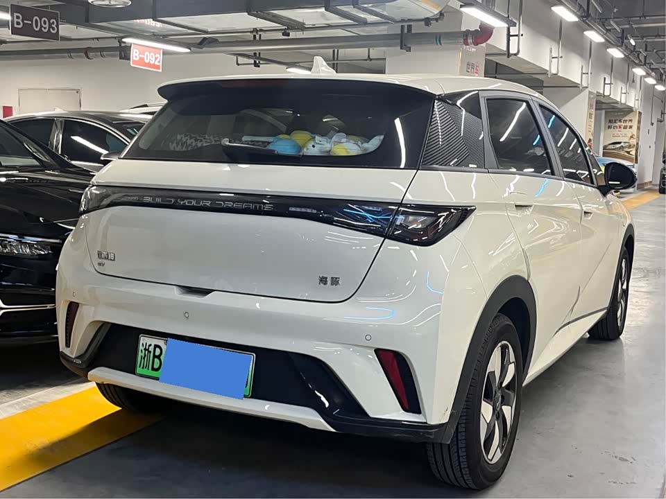 BYD dolphin