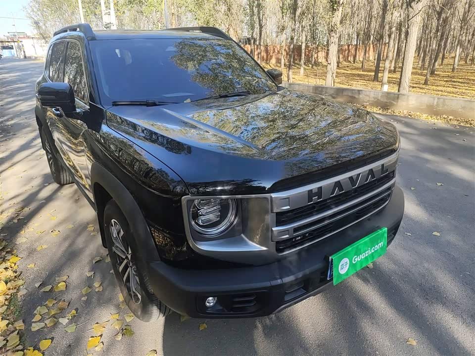 Haval Big dog