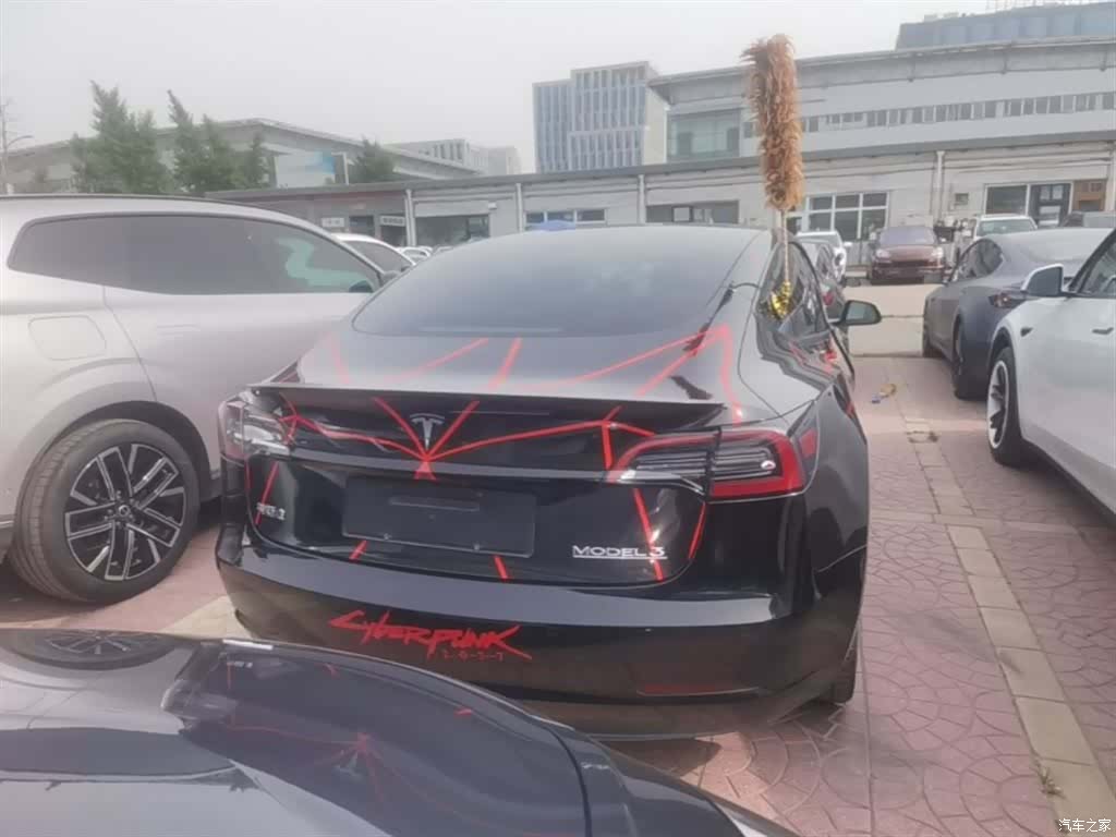 Tesla Model 3, 2021 6