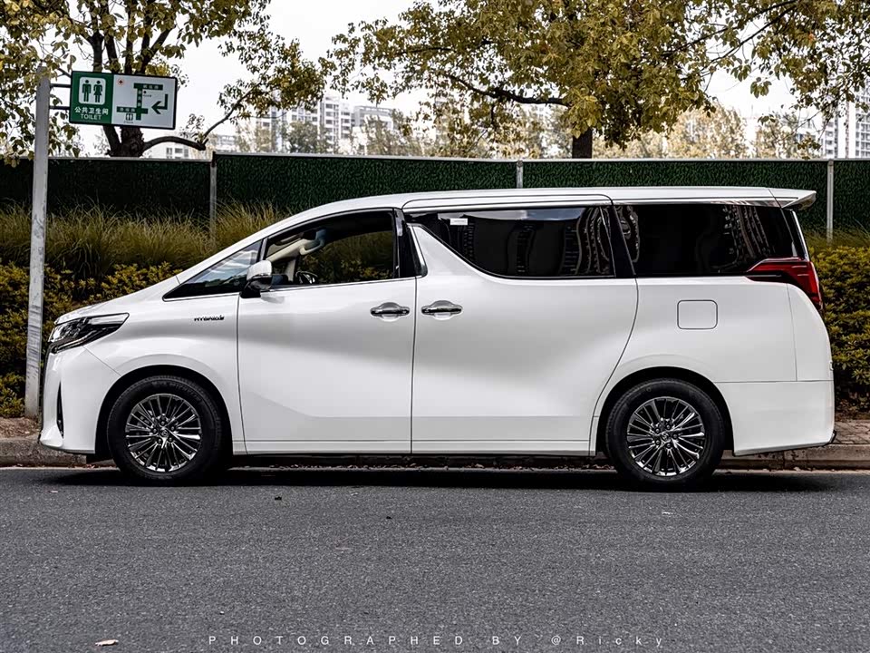 Toyota Elfa