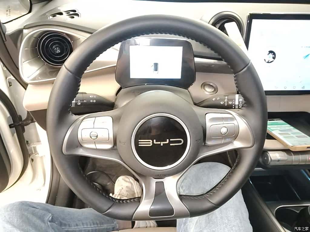 BYD Dolphin, 2024 11
