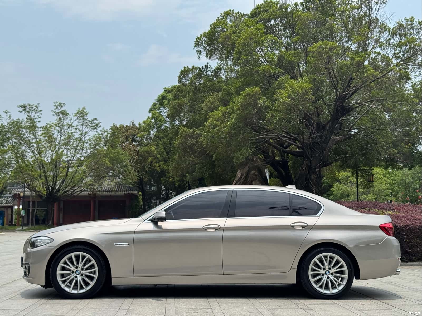 BMW 5 Series, 2016 все фото