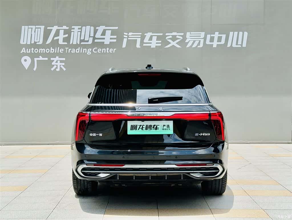 Hongqi E-HS9, 2023 все фото