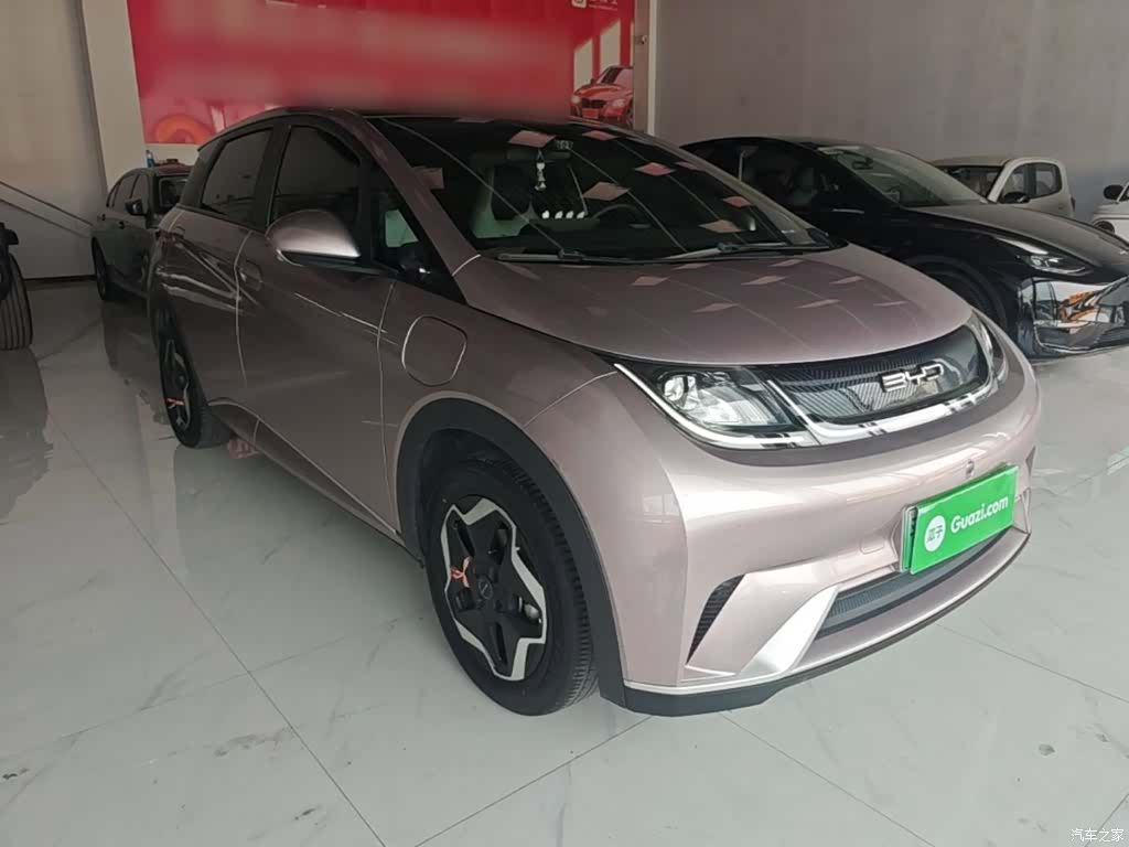 BYD Dolphin, 2022 4