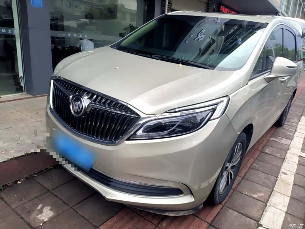 Buick GL8, 2019 2