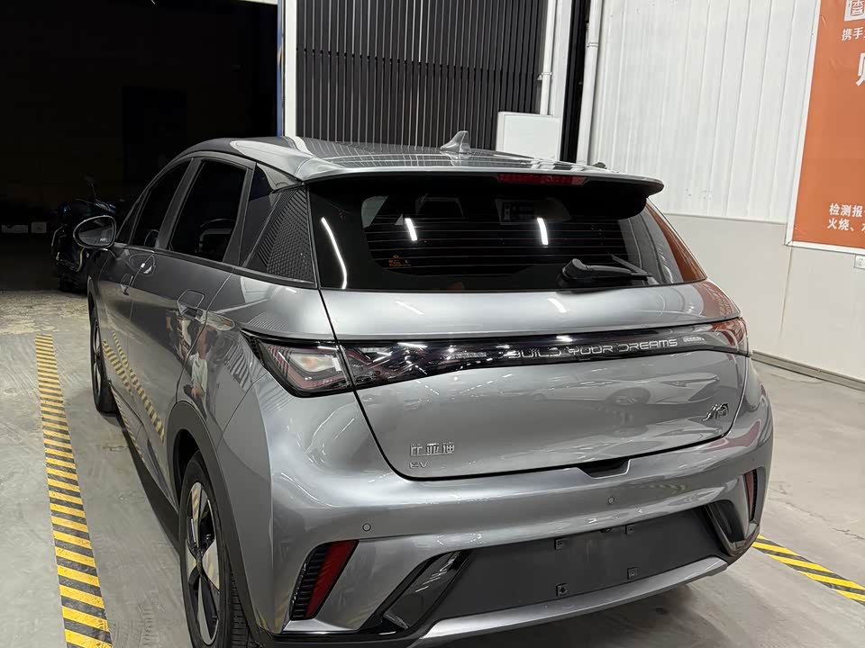 BYD dolphin