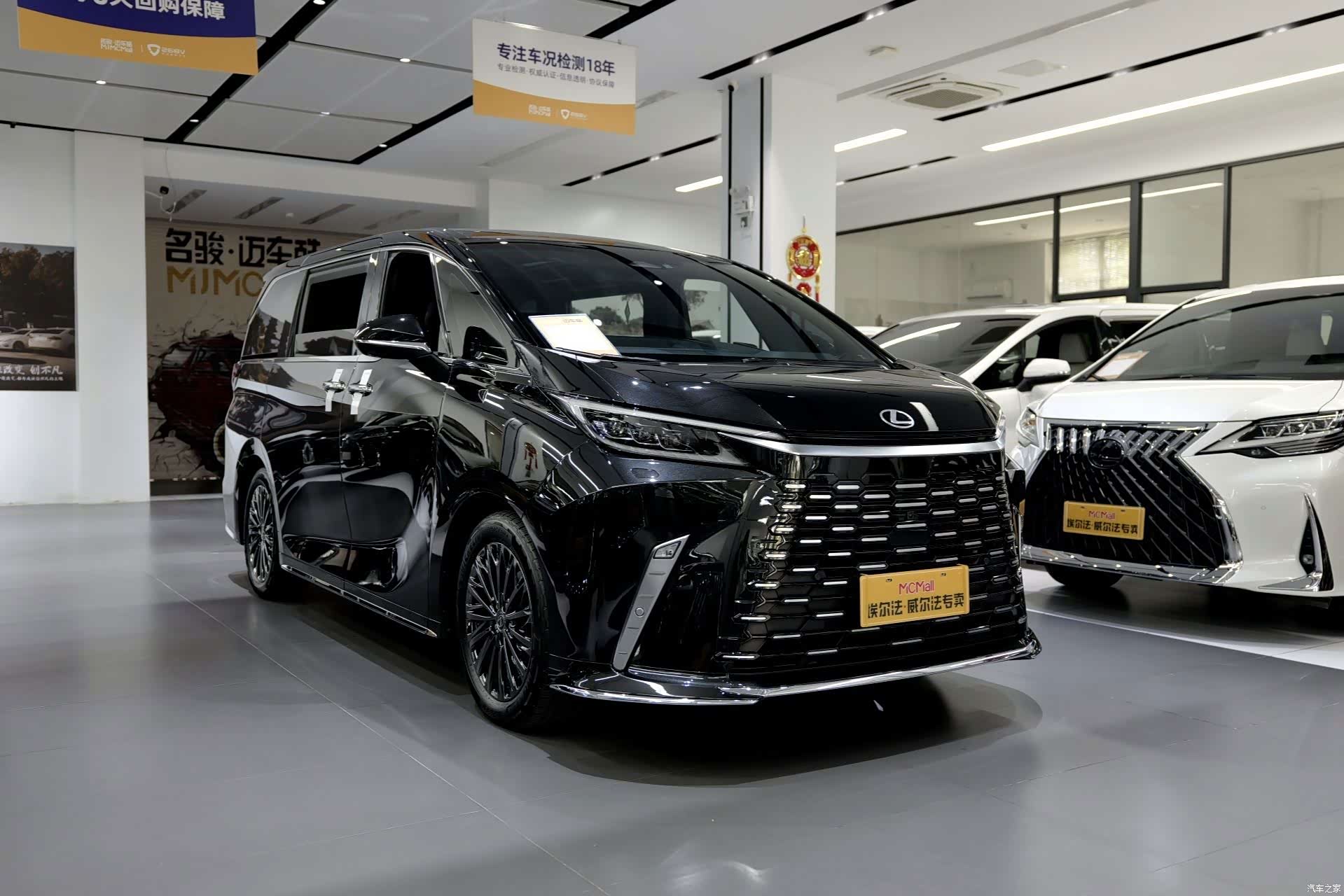 Lexus LM, 2023 9