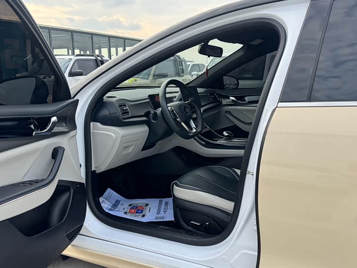 BYD Qin Plus 2021 DM-i 55KM Flagship