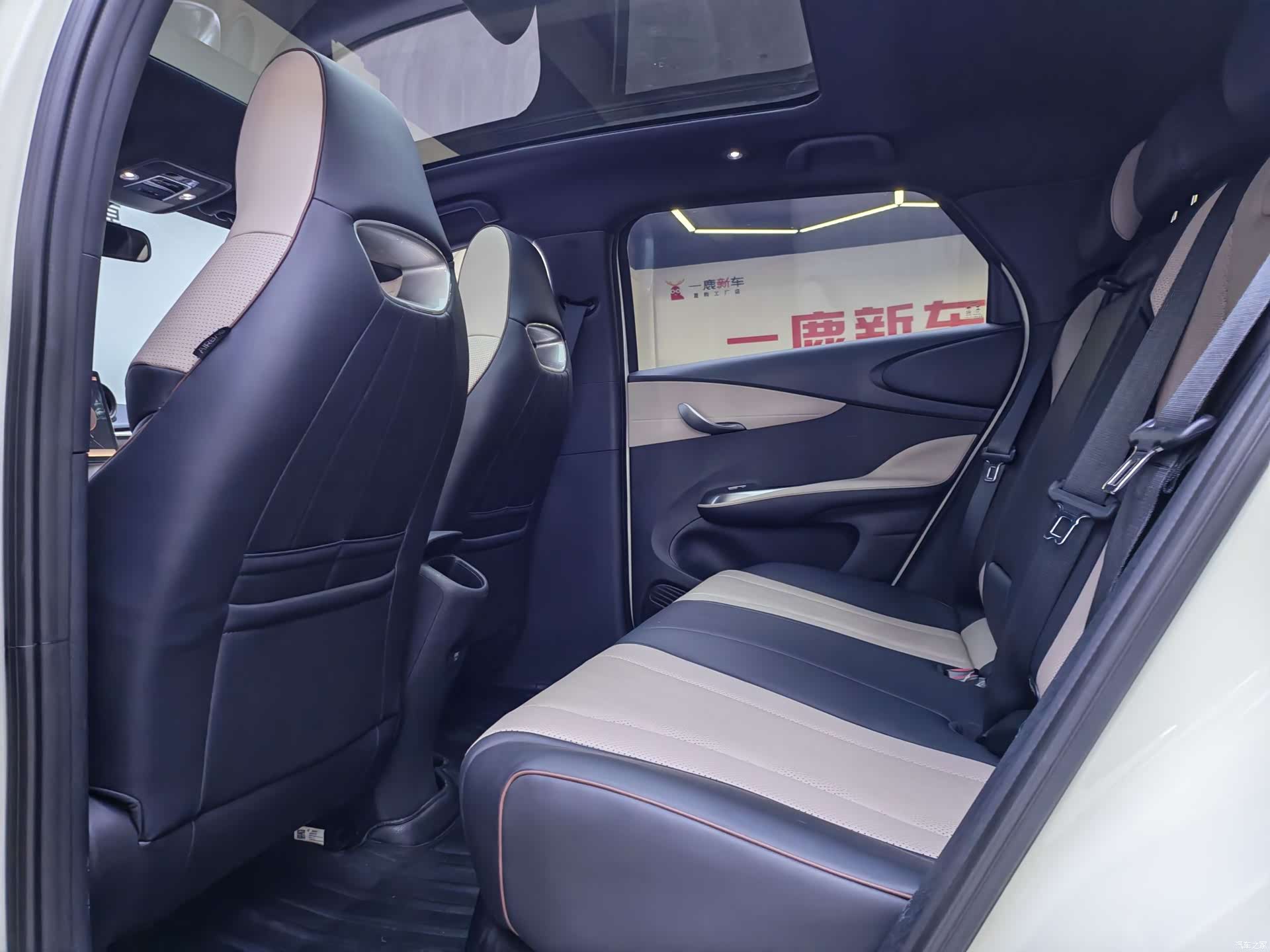 BYD Dolphin, 2024 11