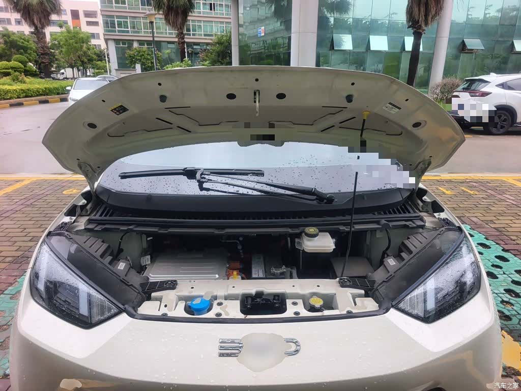 BYD Seagull, 2024 17