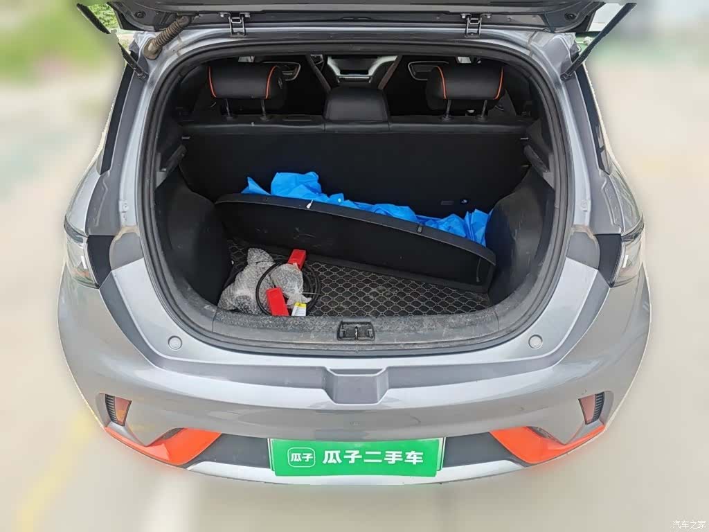 BYD Dolphin, 2023 10
