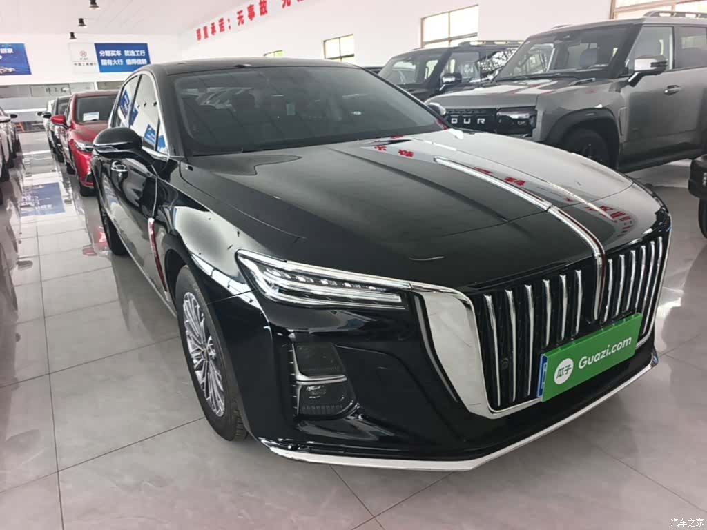 Hongqi H5, 2024 4
