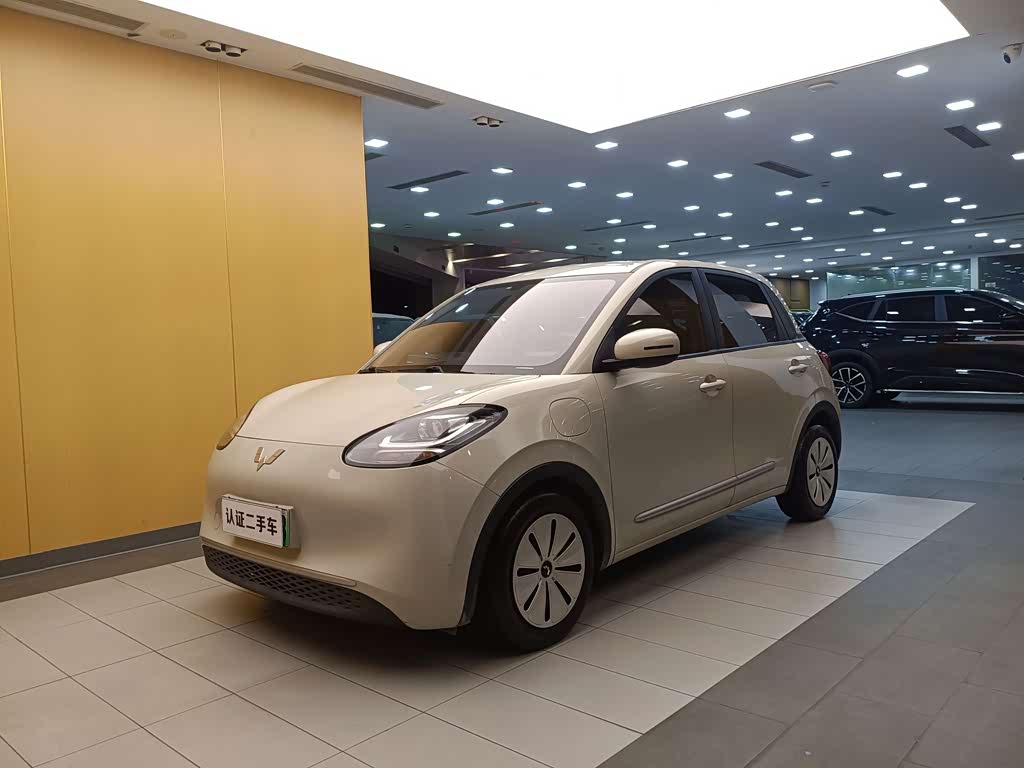 Wuling Binguo