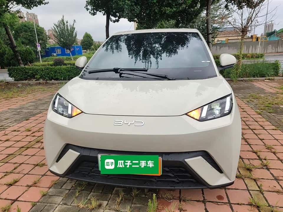 BYD Seagull