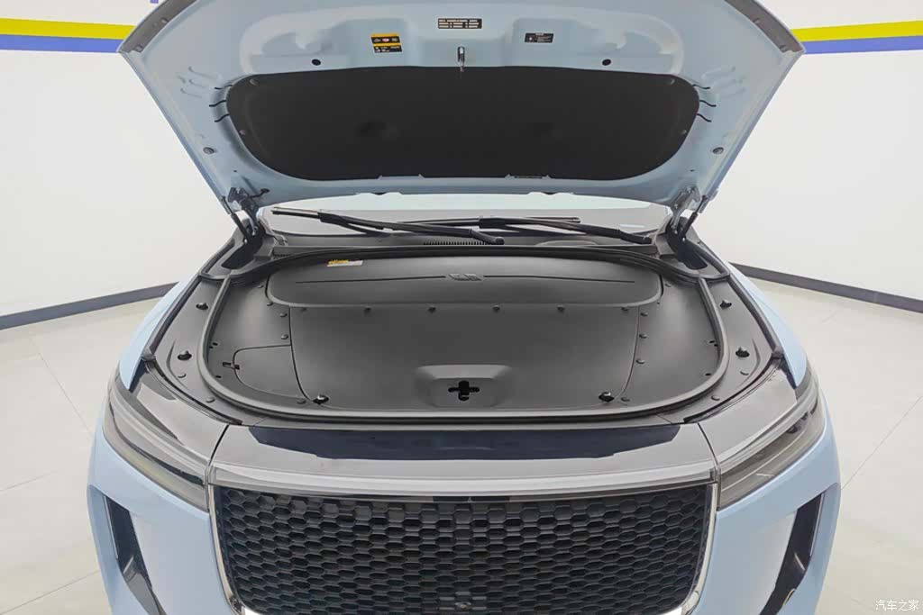 Li Auto ONE, 2020 10