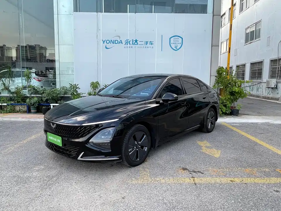 Wuling Wuling Starlight