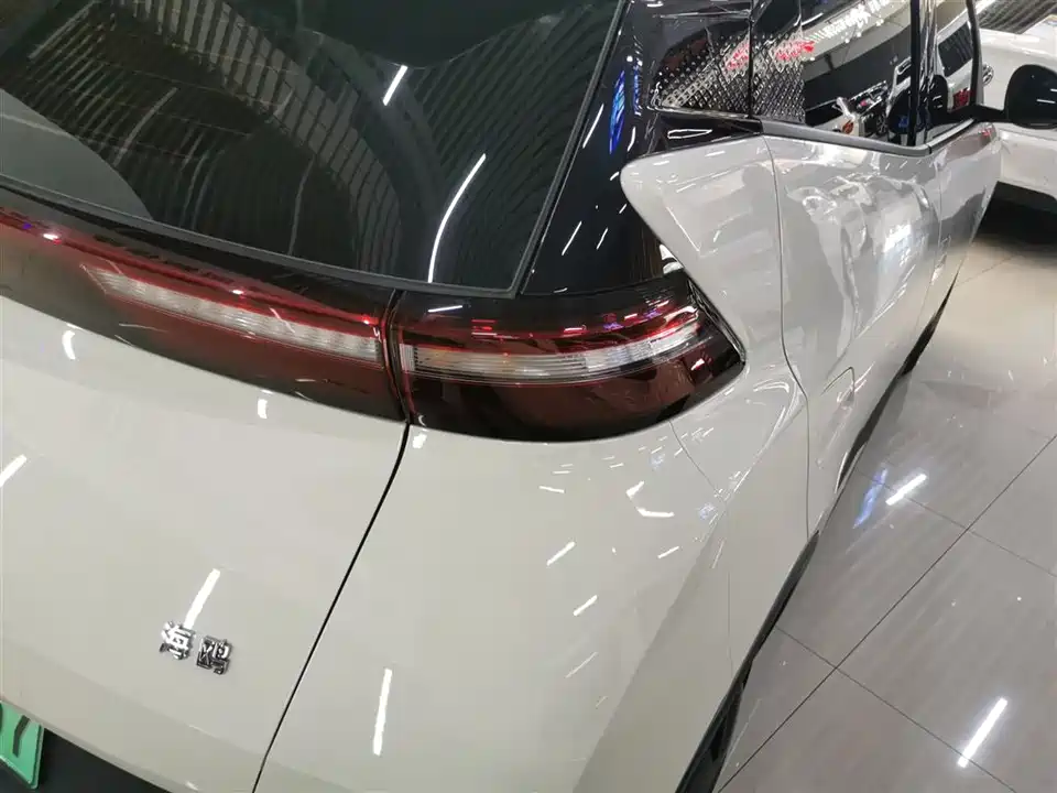 BYD Seagull