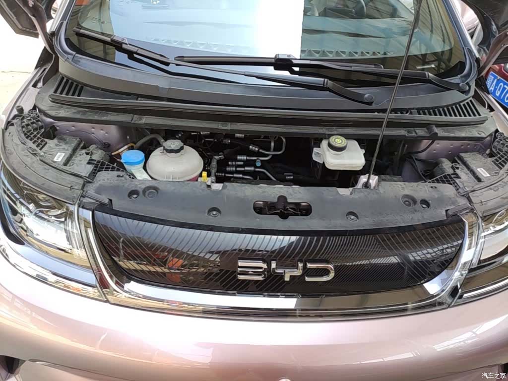 BYD Dolphin, 2024 16