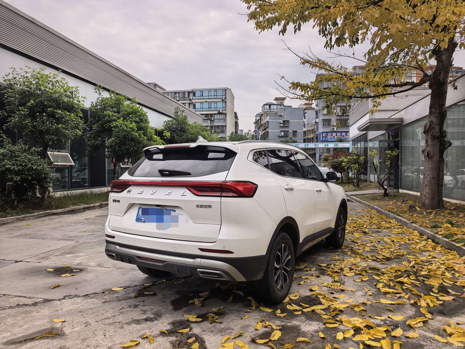 Haval H6, 2022 все фото