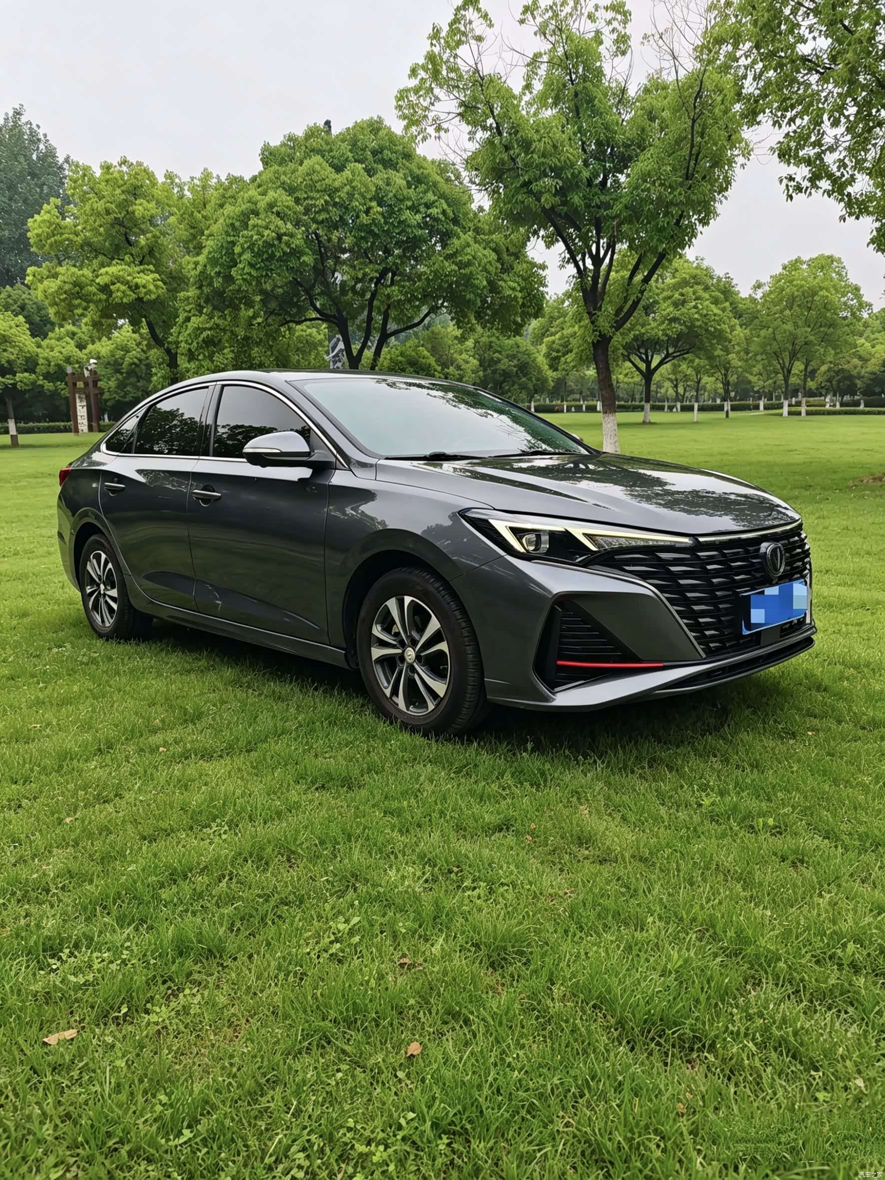 Changan Eado, 2023 все фото