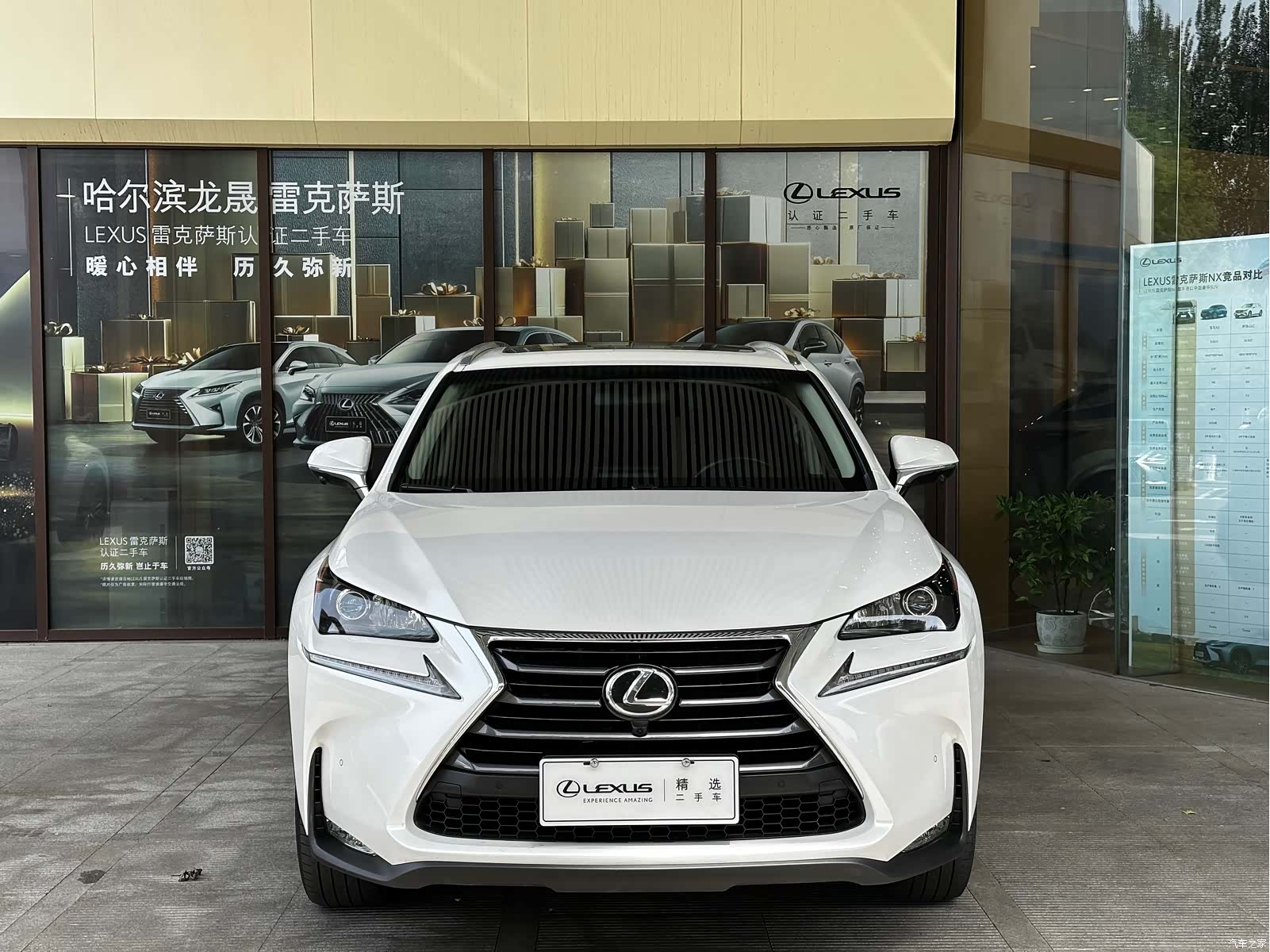 Lexus NX, 2017 2
