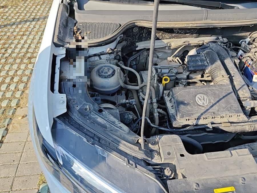 Jetta VS5 2021, фото 19