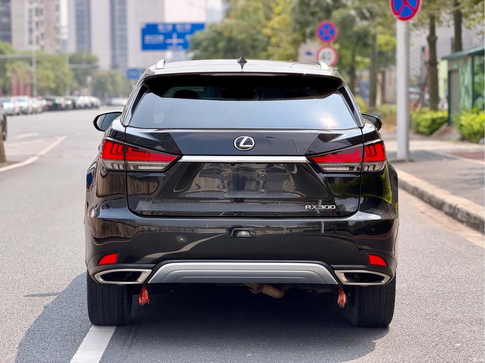 Lexus RX, 2020 7