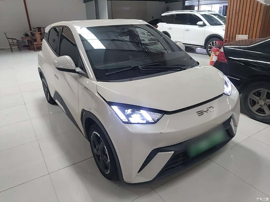BYD Seagull, 2024 4