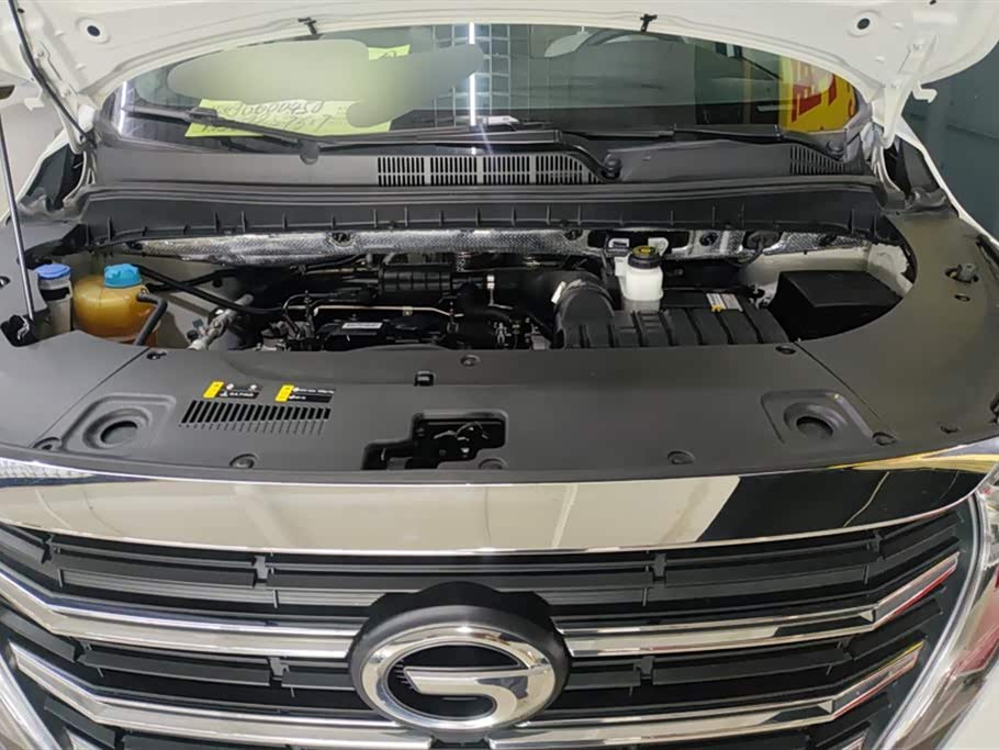 Trumpchi Trumpchi M8 Trumpchi Trumpchi M8