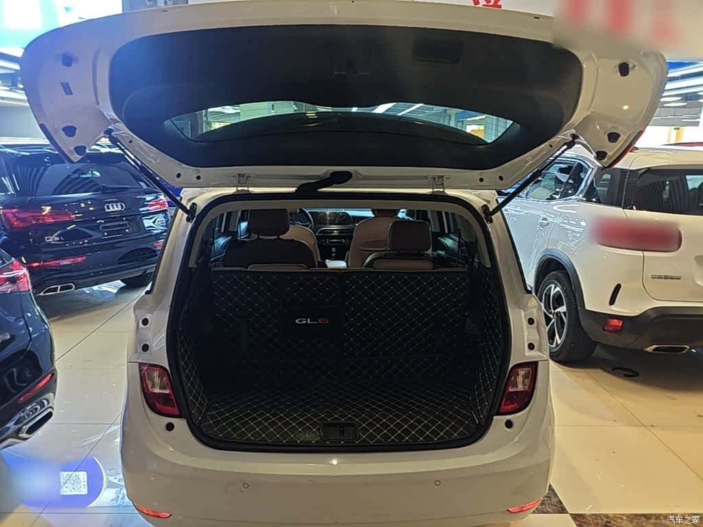 Buick GL6, 2023 19