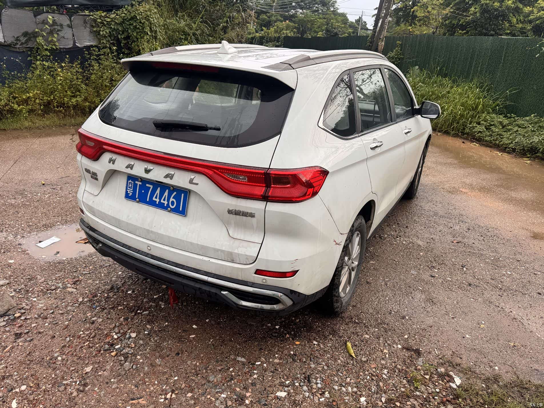 Haval M6, 2023 все фото