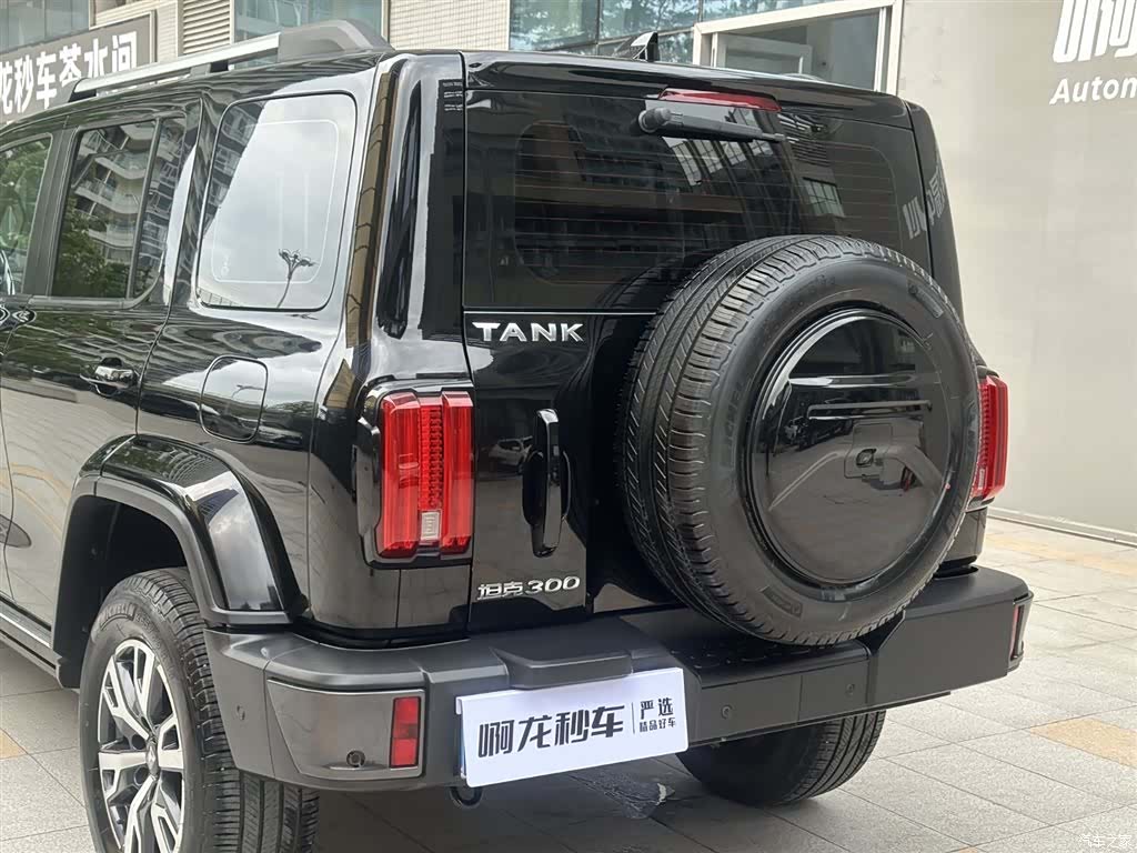 Tank 300, 2022 12