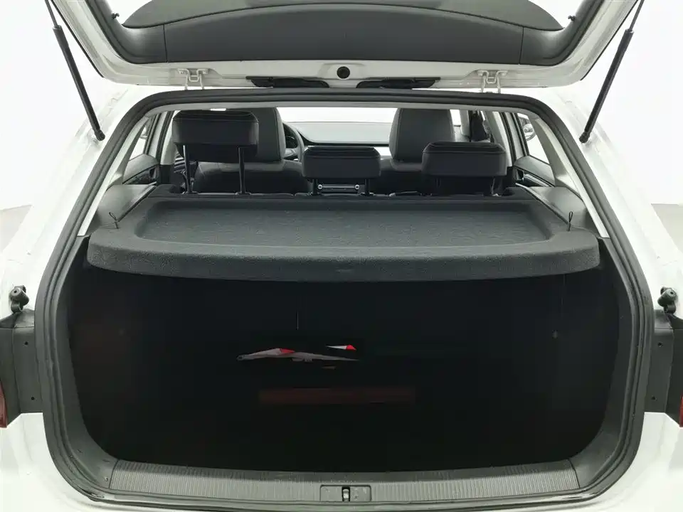 Volkswagen C-TREK Wei Collar