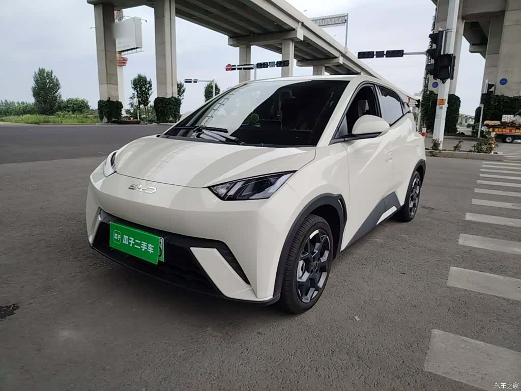 BYD Seagull, 2025 1