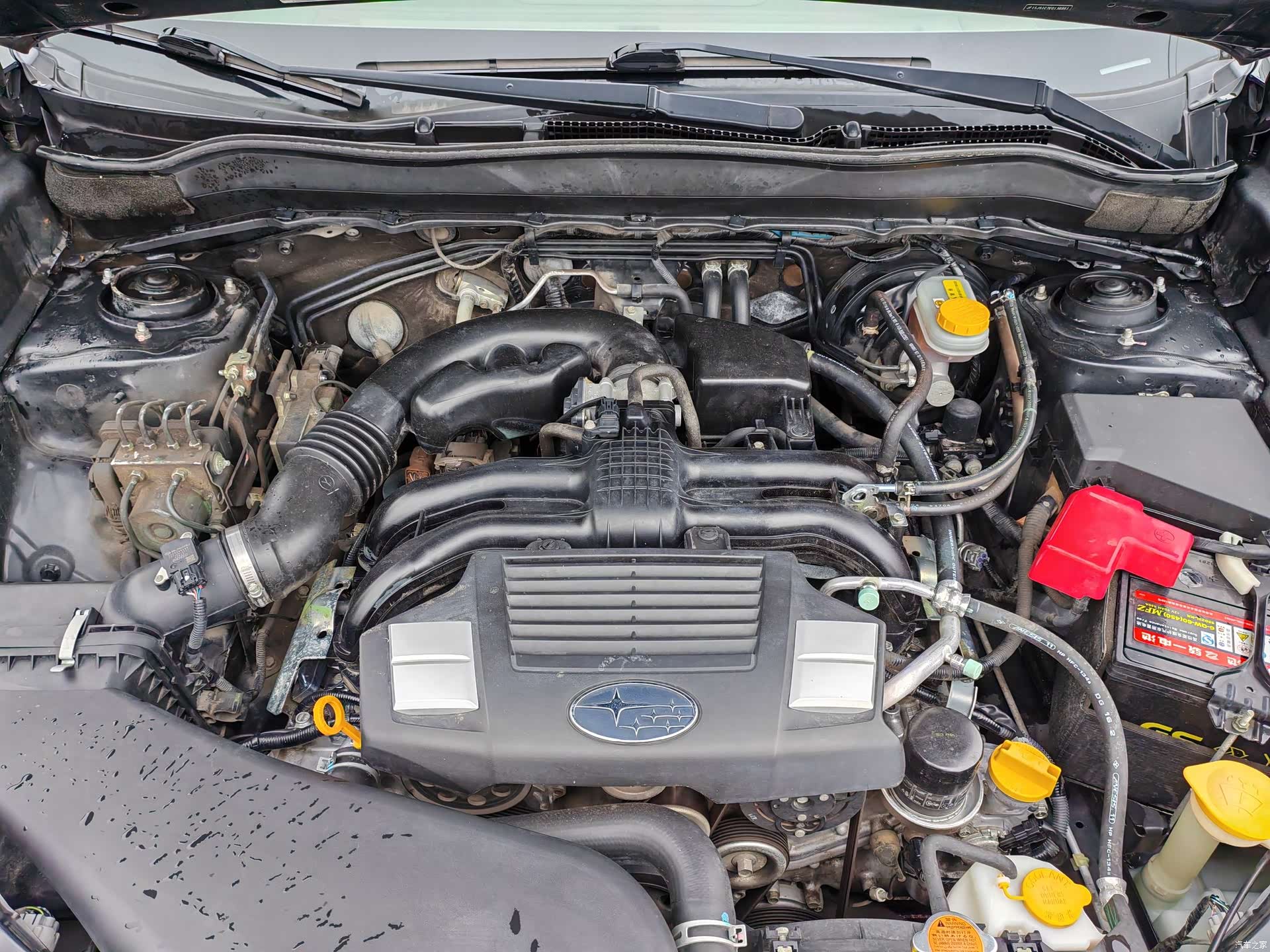 Subaru Forester, 2014 15